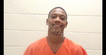 TRAYVIS DWONG GRAY | 2019-07-10 15:10:00 Pickens County, Georgia Booking
