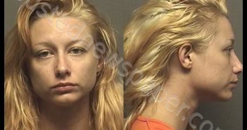 RICE,CHRISTINE ELIZABETH | 2019-07-10 12:40:00 Saline County, Kansas Booking