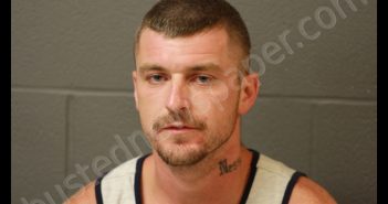 CHRISTOPHER JOHNSON | 2019-07-11 00:14:00 Cooper County, Missouri Booking