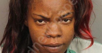 PALMER, DAVIDA RENEE | 2019-07-11 15:48:00 Jefferson County, Alabama Booking