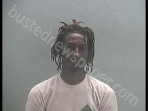 MICHAEL DESHAWN LEWIS | 2019-07-11 16:56:00 Hempstead County, Arkansas Booking