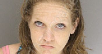 SINK, NICOLE MARIE | 2019-07-11 12:23:00 Moore County, North Carolina Booking