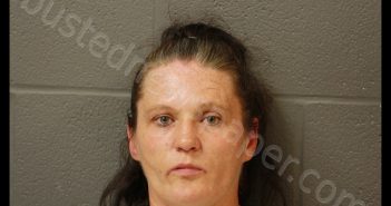LORI DAWN HAROS | 2019-07-11 12:07:00 Cooper County, Missouri Booking