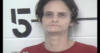IRVIN, ROSE ANN | 2019-07-12 17:26:00 Chase County, Kansas Booking