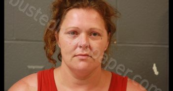ZELDA R DODSON | 2019-07-12 23:29:00 Cooper County, Missouri Booking