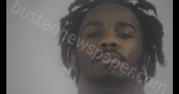 KHALIA MOHAMMED DAVID | 2019-07-12 15:00:00 Western Tidewater, Virginia Booking