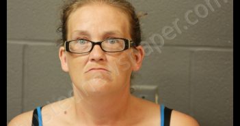AMANDA L GRIFFITH | 2019-07-12 17:58:00 Cooper County, Missouri Booking