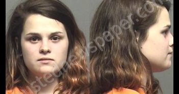 KLINE,SYDNEY LEE | 2019-07-13 00:45:00 Saline County, Kansas Booking