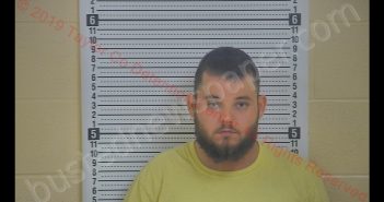 LUCAS JAMES WETHINGTON | 2019-07-13 04:04:00 Taylor County, Kentucky Booking