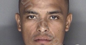 RENTERIA, RAUL RODRIGUEZ | 2019-07-13 04:34:00 Ellis County, Texas Booking