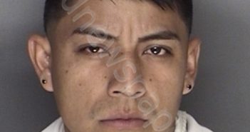 ARAIZA, HECTOR | 2019-07-14 23:59:00 Ellis County, Texas Booking