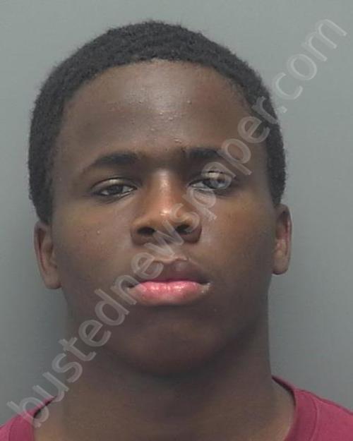 WILSON, ANTWAN TYRESE #, Lee County, Florida - 2019-07-14 01:43:00