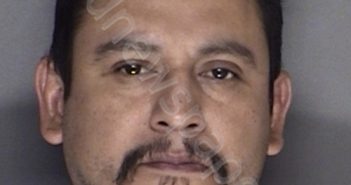 ROMERO, REFUGIO ZARATE | 2019-07-14 23:30:00 Ellis County, Texas Booking