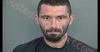 JOSHUA ALLEN RYEA | 2019-07-14 09:17:00 Anderson County, South Carolina Booking