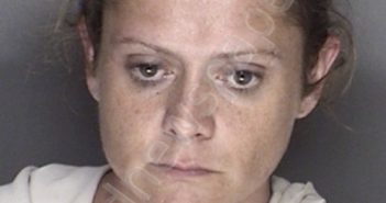 LYTLE, KIMBERLY FAY | 2019-07-14 04:14:00 Ellis County, Texas Booking