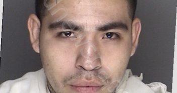 FLORES, SERGIO | 2019-07-14 21:20:00 Ellis County, Texas Booking