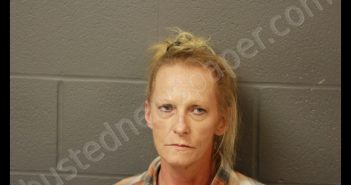 SHELLY E OVERSTREET | 2019-07-15 08:32:00 Cooper County, Missouri Booking