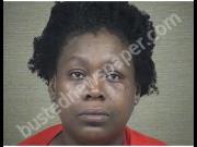 SIMPSON, CHERIE | 2019-07-15 Harnett County, North Carolina Booking