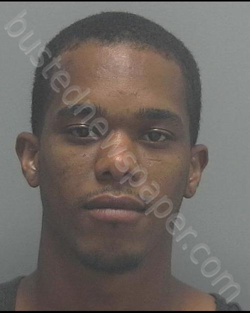 ARIAS, ERISMEL JUNIOR #, Lee County, Florida - 2019-07-15 13:47:00
