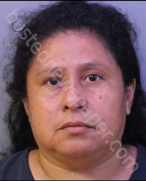 HERNANDEZ PINEDA, GUILLERMINA #, Polk County, Florida - 2019-07-15