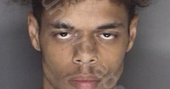 MOORE, MOSES LARZELL | 2019-07-15 02:43:00 Ellis County, Texas Booking