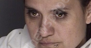 OLVERA, AMY | 2019-07-15 04:39:00 Ellis County, Texas Booking