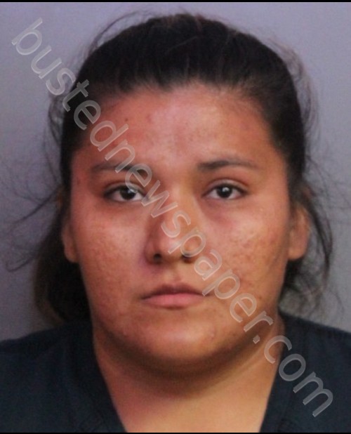 HERNANDEZ-REYES, RUBIDIA Y #, Polk County, Florida - 2019-07-15