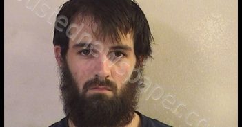 HALL, SEAN MICHAEL | 2019-07-16 15:52:00 Dickinson County, Kansas Booking