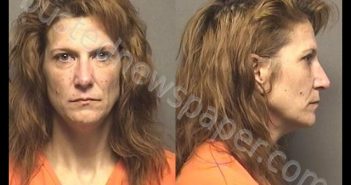 RAVENSTIEN,TAMI LYNN | 2019-07-16 11:47:00 Saline County, Kansas Booking