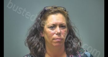 VALERIE JEAN MEARS | 2019-07-16 20:37:00 Isabella County, Michigan Booking