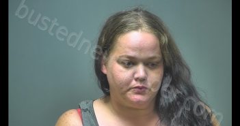 LOUISEANNA LYNN STITTSWORTH | 2019-07-16 21:42:00 Isabella County, Michigan Booking