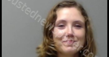 HEATHER MARIE HODGES | 2019-07-16 11:16:00 Baxter County, Arkansas Booking