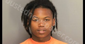LIGHTY, JAMARRIUS DAQAUN ISHMAEL | 2019-07-16 05:21:00 Florence County, South Carolina Booking