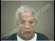 SCHALL, LISA | 2019-07-17 Harnett County, North Carolina Booking