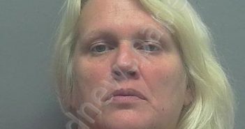 WILDER, DEBRA DIANE | 2019-07-18 07:41:00 Lee County, Florida Booking