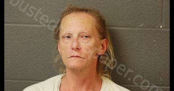 SHELLY E OVERSTREET | 2019-07-18 15:15:00 Cooper County, Missouri Booking