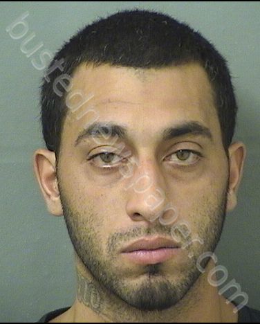 MARTINEZ, SERGIO MANUEL #, Palm Beach County, Florida - 2019-07-18 00:12:00
