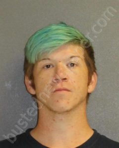 LEWIS, MICHAEL | 2019-07-20 Volusia County, Florida Booking