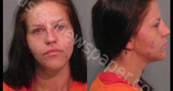MOORE, ISABELLA DAWN | 2019-07-20 06:10:30 York County, South Carolina Booking