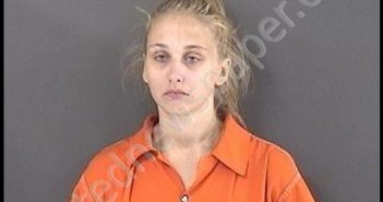 ELLISON, KIMBERLY RENEE | 2019-07-20 21:40:00 Roanoke County, Virginia Booking