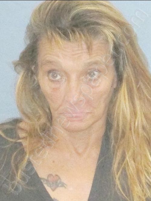 THOMPSON,LINDA SUE #, Pulaski County, Arkansas - 2019-07-20 19:05:00