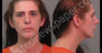 RICHARDSON, KATHY FAYE | 2019-07-20 03:22:54 York County, South Carolina Booking