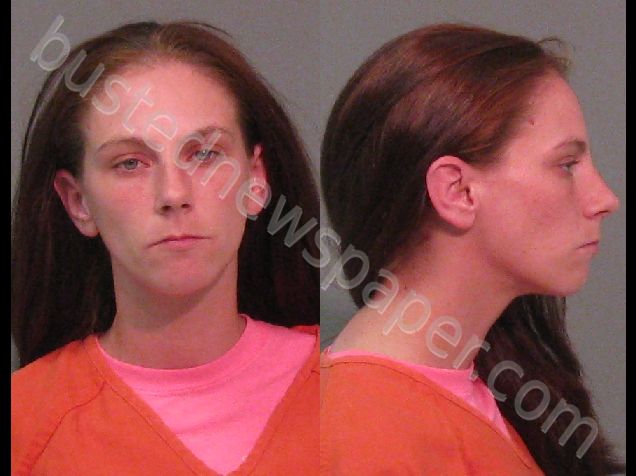 SULLIVAN, KAYLA RENEE #, York County, South Carolina - 2019-07-21 18:55:08