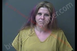 ELIZABETH NICOLE DAVIS | 2019-07-21 18:02:45 Howard County, Indiana Booking