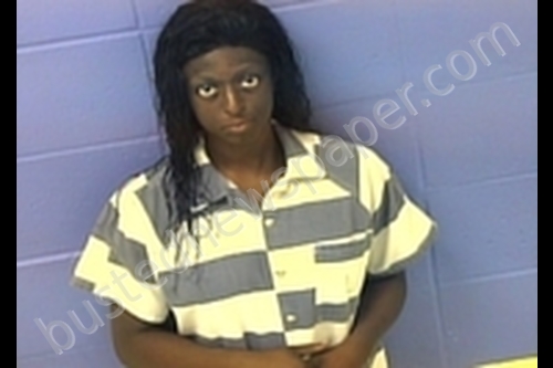 SHREETTA ELIZABETH ELLIS #, Faulkner County, Arkansas - 2019-07-21 11:05:00