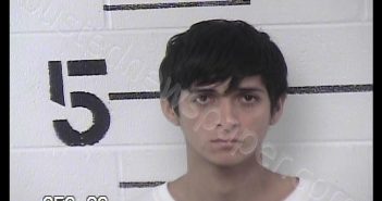 LLIVISACA-MOLINA, LUIS | 2019-07-24 10:26:00 Chase County, Kansas Booking