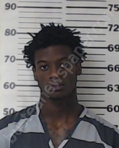 WATKINS, ADARIUS DEMOND | 2019-07-24 Henderson County, Texas Booking