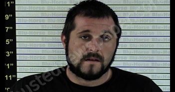 HAWES, AUSTIN K | 2019-07-24 14:20:00 Graves County, Kentucky Booking