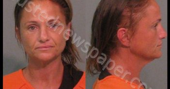 BROCK, ANGEL DARNELL | 2019-07-24 06:09:13 York County, South Carolina Booking
