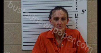 RICH, TONYA LOUISE | 2019-07-24 12:31:00 Cherokee County, North Carolina Booking